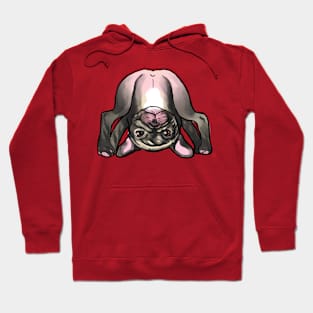 Forward bend Pose Hoodie